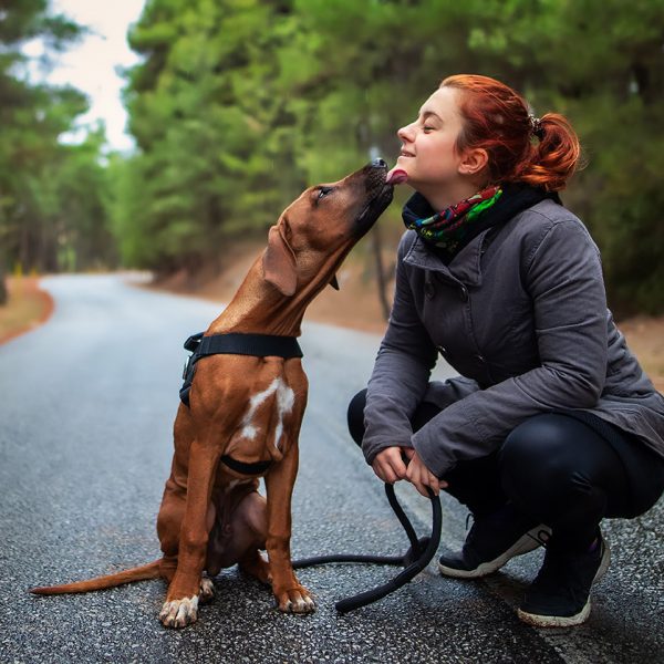 Successful Autistic Friendships by Prof Tony Attwood